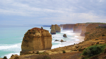 Escursione ecologica di un giorno in piccoli gruppi sulla Great Ocean Road partendo da Melbourne, ... 