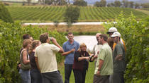 Tour del vino e delle cantine della Yarra Valley da Melbourne, Melbourne, Wine Tasting & Winery ... 