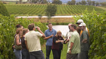Yarra Valley Wine and Winery Tour from Melbourne, Yarra Valley, Wine Tasting & Winery Tours