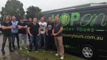 Gold Coast Brewery Tour Including Balter, Burleigh and Black Hops, Gold Coast, Beer & Brewery Tours