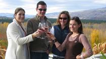 Central Otago Gourmet Wine Tour