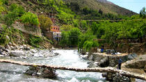 Excursion d'une journée à la vallée de l'Ourika et aux montagnes de l'Atlas avec déjeuner, Marrakech, Day Trips