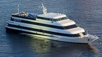 norfolk cruise dinner elizabeth river spirit enjoy views beautiful