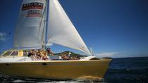 Catamaran Party Cruise to Nevis from St Kitts, St Kitts