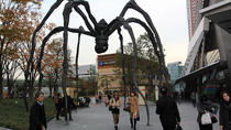 Expert-Led Tour of Tokyo: Japanese Aesthetics, Tokyo