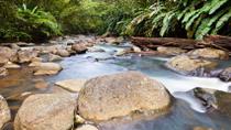 Small-Group Hiking Adventure through Grand Etang National  Park in Grenada, Grenade