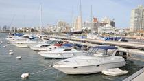 Excursão turística pela cidade de Punta del Este, Punta del Este, Excursões rápidas
