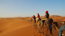 2- Jour Voyage de Marrakech au désert de Zagora, Marrakech, Cultural Tours