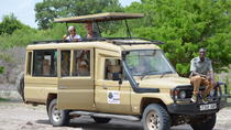 MELHORES TRÊS DIAS DO PARQUE NACIONAL MIKUMI DA VIAGEM RODOVIÁRIA DE ZANZIBAR, Zanzibar City