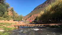 Excursion d'une journée à la vallée de l'Ourika et aux montagnes de l'Atlas depuis Marrakech, Marrakech, Day Trips