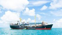 Antigua D-Boat Adventure with Optional Stingray City Tour, Antigua