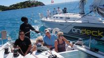 Antigua Shore Excursion: Yacht Racing, St John's