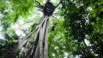 Aventura de tirolesa em floresta tropical de Chiang Mai, Chiang Mai