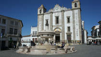 Excursão particular: Passeio de um dia em Évora e Almendres Cromlech, saindo de Lisboa