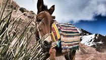 Une excursion culturelle d'une journée dans les montagnes de l'Atlas!, Marrakech, Day Trips