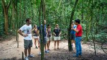Excursão à tarde de meio dia dos túneis de Cu Chi, Cidade de Ho Chi Minh