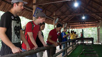 Túneis de Cu Chi: excursão para grupos pequenos, Cidade de Ho Chi Minh