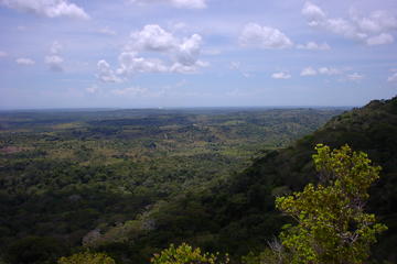 Mombasa Day Trip: Shimba Hills National Reserve Safari and Hike