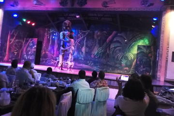 SAFARI CAT DANCERS SHOW AND DINNER