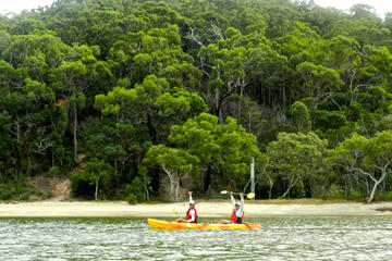 Kayak and Bushwalking Day Tour from the Gold Coast Including Currumbin Wildlife Sanctuary
