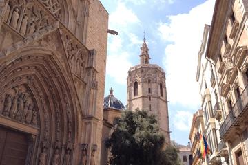 4-Hour Valencia Private Tour with transport
