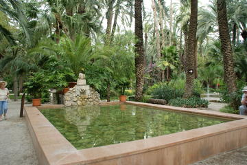 Elche Private Walking Tour