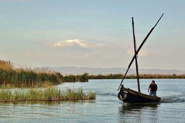 Shore excursion: Albufera Natural Park Private Tour from Valencia with transport