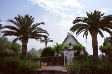 The Albufera Natural Park Private Tour from Valencia  with transport