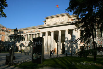 Madrid Sightseeing City Bus Tour with Optional Skip-the-Line Art Museums