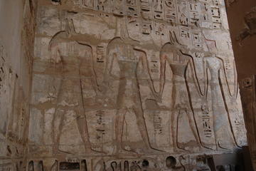Private Half Day Tour of the West Bank of Luxor with Pickup
