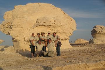 White Desert and Bahariya Oasis overnight