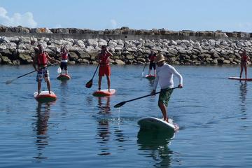 Stand Up Paddle on the Lisbon Coast