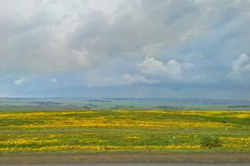 Explore the Ethiopian Rift Valley Lakes and the UNESCO Site of Steles of Tiya