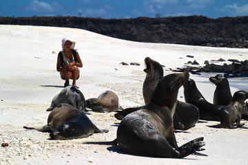 Galapagos Island Hopping Adventure 5D - 4N