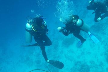 Certified 2-Tank Scuba Diving Tour from Montego Bay
