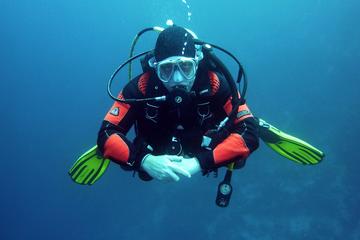Discover Scuba Diving in Negril
