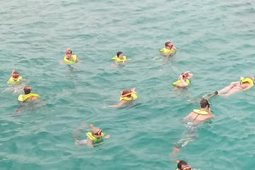Ocho Rios Shore Excursion: Private Snorkel Tour