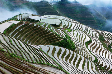 2-Day Private Tour: Classic Li River Cruise and Longji Terrace Tour