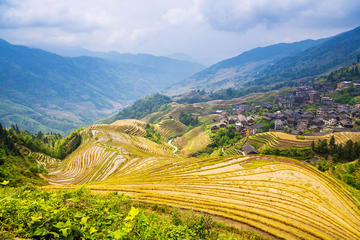 Longji Rice Terraces and Pingan Zhuang Village Day Tour