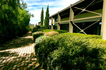 Wine Roads of Greece Private Winery Tour plus Cape Sounion and the Temple of Poseidon Day Trip from Athens