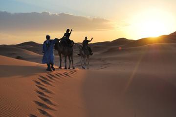 4-Night Desert Experience from Marrakech