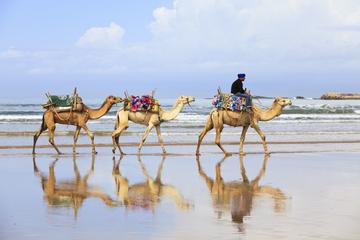 4 Hours Private Tour of Tangier