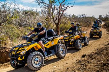 Cabo San Lucas - Margaritas Beach 4x4 ATV Double