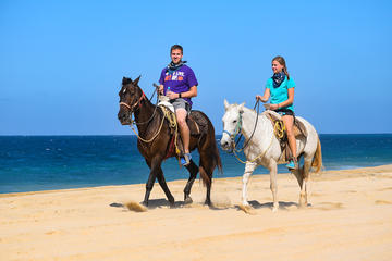Horseback Riding Tour in Los Cabos