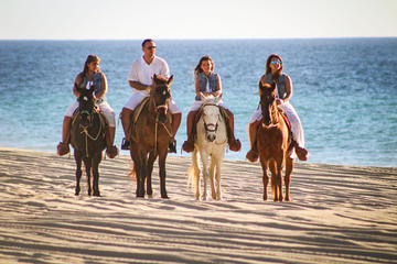 Horseback Riding Tour in Los Cabos