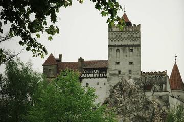 Private Brasov and Bran Castle Tour