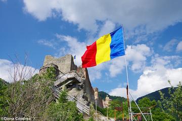 Private One Day Tour of Medieval Romania from Bucharest