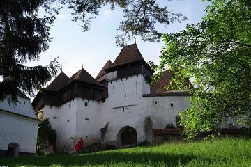 Private UNESCO Heritage Day Trip from Brasov