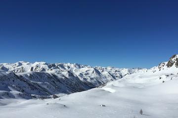 Alps tour  private full day from Nice