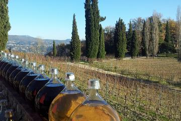Full-day Private St Paul de Vence, Vence, and St Jeannet Tour from Cannes